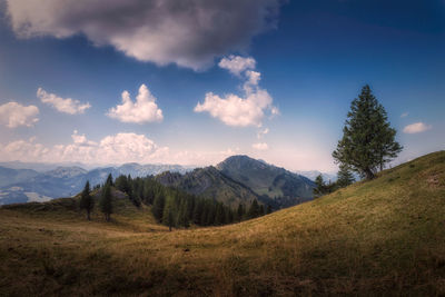 Scenic view of field against sky