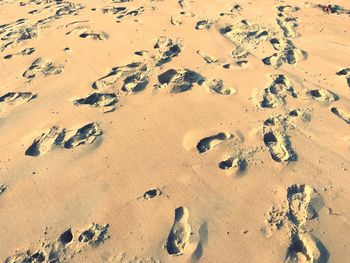 High angle view of footprints on sand at beach