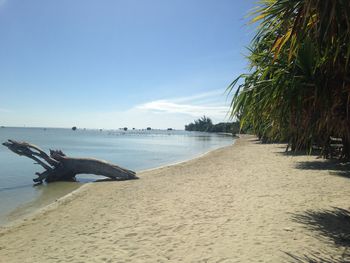 Scenic view of beach against clear sky