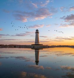 Bird flying over sea