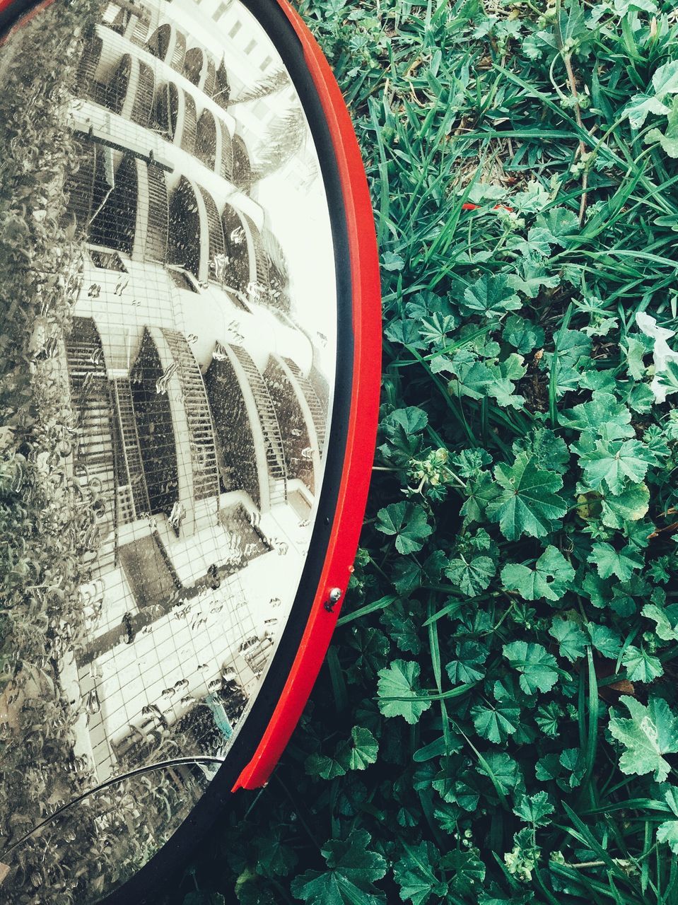 building exterior, architecture, built structure, high angle view, day, red, city, no people, outdoors, transportation, building, plant, abandoned, brick wall, close-up, growth, wall - building feature, old, grass, circle