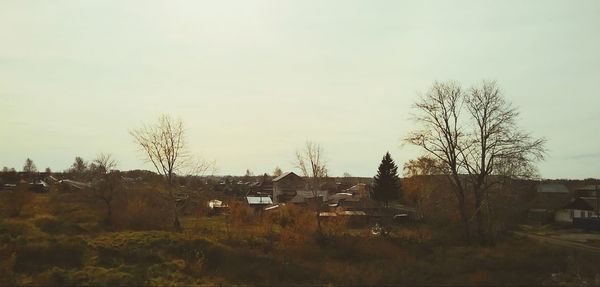 Houses and bare trees against sky