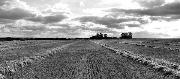 Surface level of road against cloudy sky