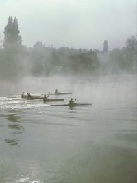 People in kayaks on river