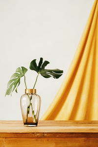 Fresh green leaves of tropical plant in glass vase placed on wooden table against white wall and yellow cloth