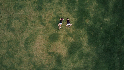 High angle view of women lying in grass