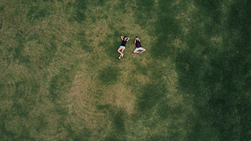 High angle view of young woman with horse on field