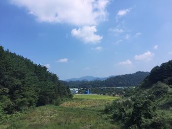 Scenic view of field against sky