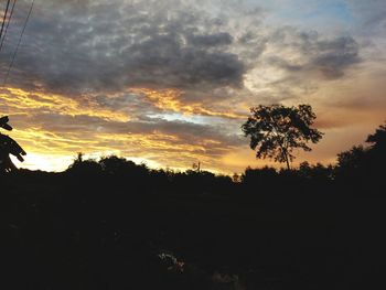 Silhouette of trees against dramatic sky