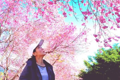 Low angle view of woman standing against pink trees