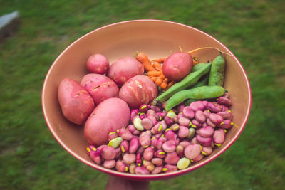 High angle view of fruits in bowl