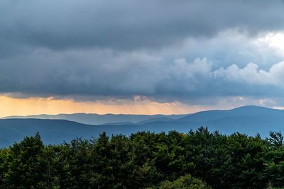 Scenic view of trees and mountains against sky