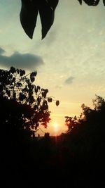 Silhouette trees against sky during sunset