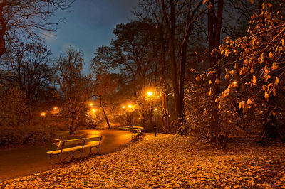 Illuminated park during winter at night