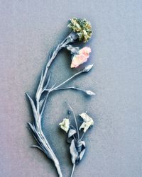 High angle view of flowers against white background