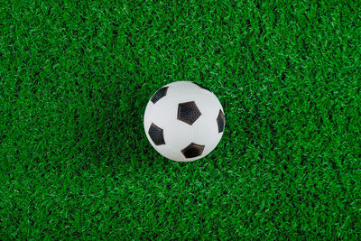 Soccer ball on grassy field