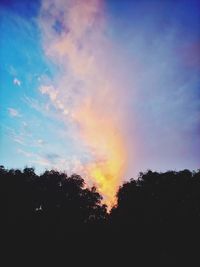 Low angle view of silhouette trees against sky during sunset