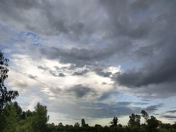 Low angle view of trees against cloudy sky