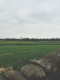 Scenic view of grassy field against cloudy sky