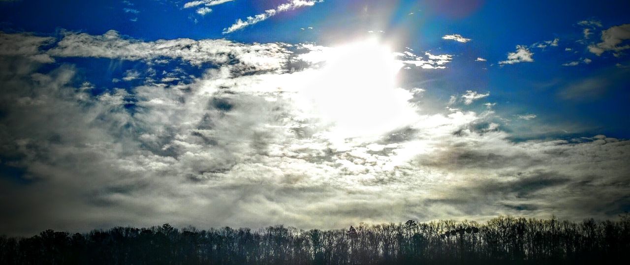 tree, tranquility, sky, beauty in nature, tranquil scene, scenics, nature, silhouette, cloud - sky, low angle view, blue, idyllic, sunlight, sunbeam, growth, cloud, outdoors, no people, non-urban scene, sun