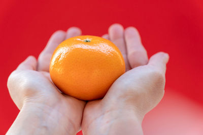 Close-up of hand holding orange