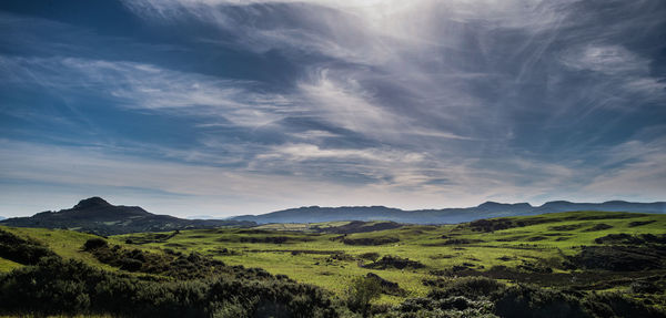 Scenic view of field against sky