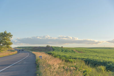 Road amidst field against sky