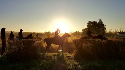 People riding horses on land against sky during sunset