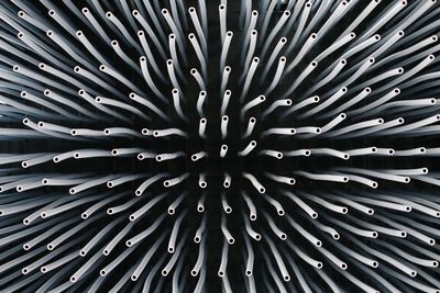 Full frame shot of leaf