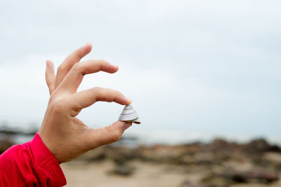 Close-up of hand holding beach against sky