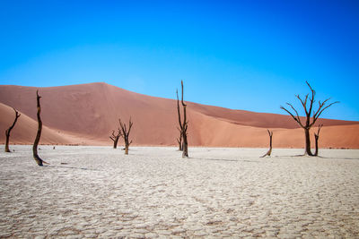 Scenic view of desert against clear blue sky