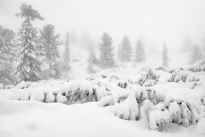 Panoramic view of snow covered landscape during winter