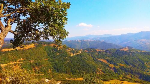 Scenic view of landscape against sky during autumn