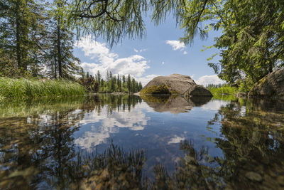 Reflection of trees in lake against sky