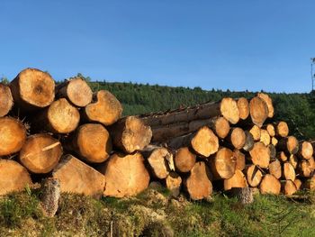 Stack of logs on field in forest against clear sky