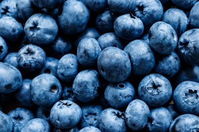 Full frame shot of blueberries