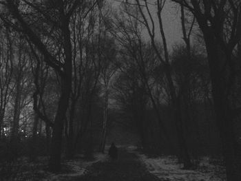 Silhouette bare trees in forest against sky