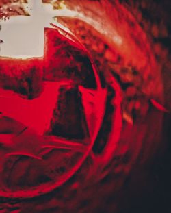Close up of red leaf