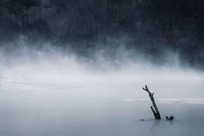 People in sea against foggy weather