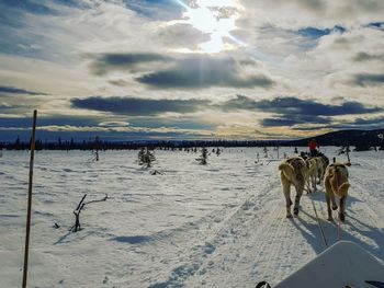 Panoramic view of people on snow covered land against sky