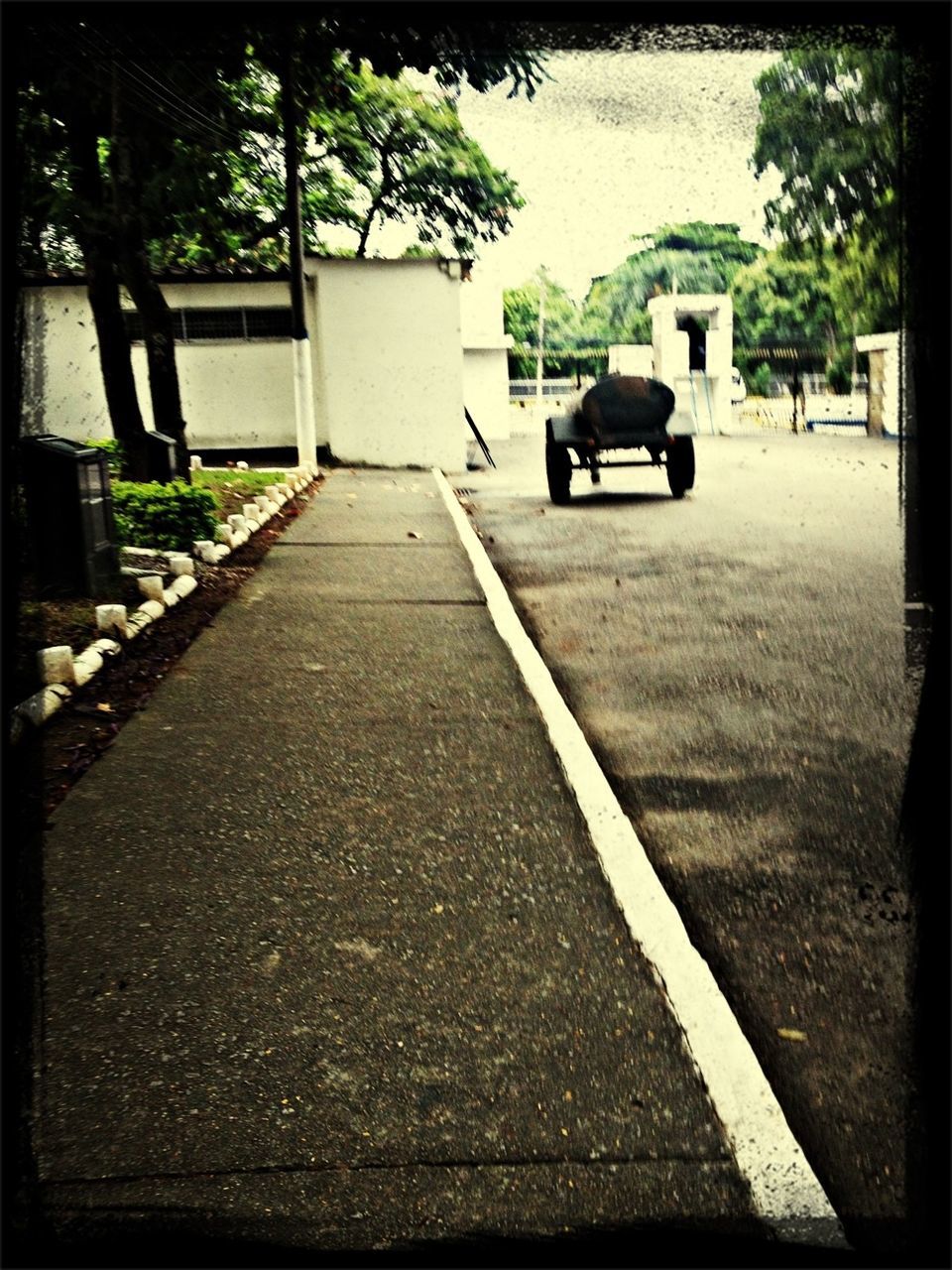 transfer print, tree, shadow, street, sunlight, road, transportation, auto post production filter, empty, building exterior, day, built structure, sidewalk, outdoors, the way forward, footpath, architecture, incidental people, car, absence