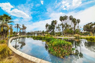 Reflection of palm trees in swimming pool against sky