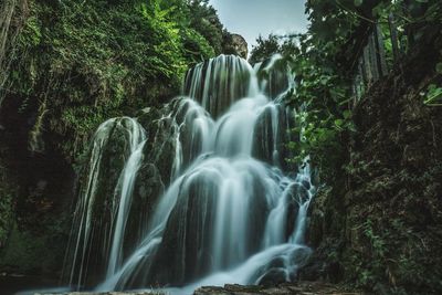 Scenic view of waterfall in forest