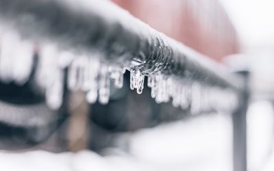 Close-up of frozen railing
