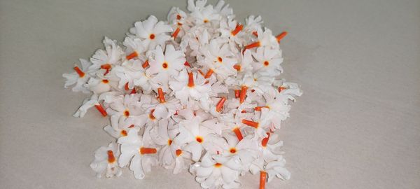 High angle view of multi colored flowers on table