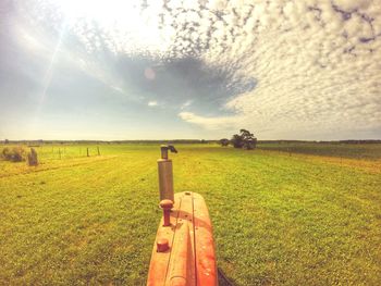 Scenic view of grassy field against sky