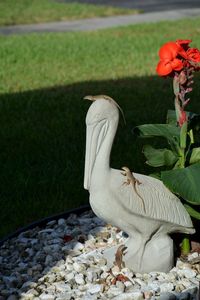 View of a bird on field by stone wall