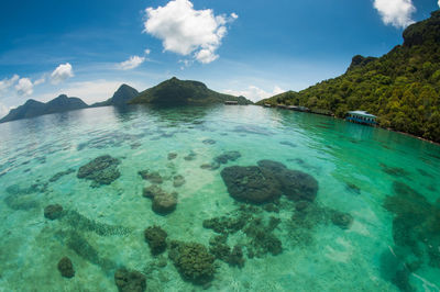 Scenic view of sea against sky