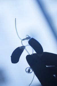 Close-up of silhouette sunglasses against sky