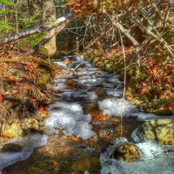 River flowing through rocks